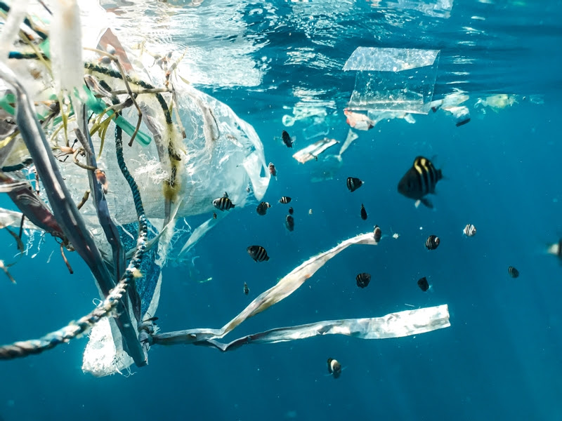 The Ocean Race and Archwey partner to tackle marine plastic