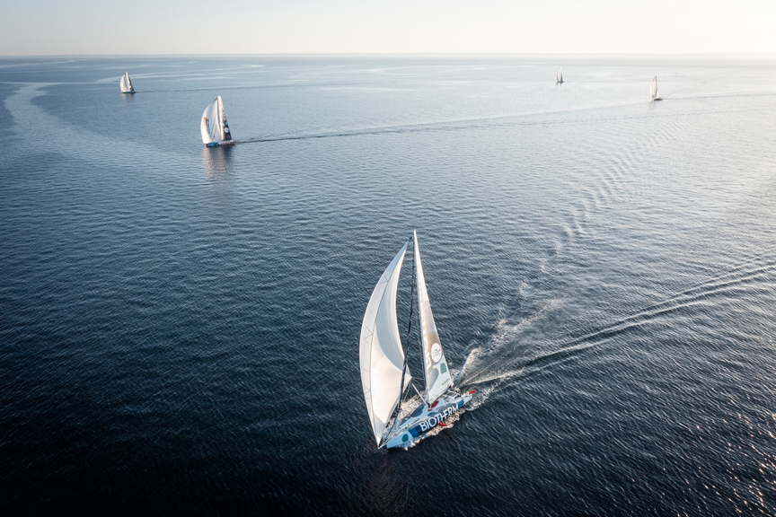 Leading ocean voices call on the United Nations to support ocean rights